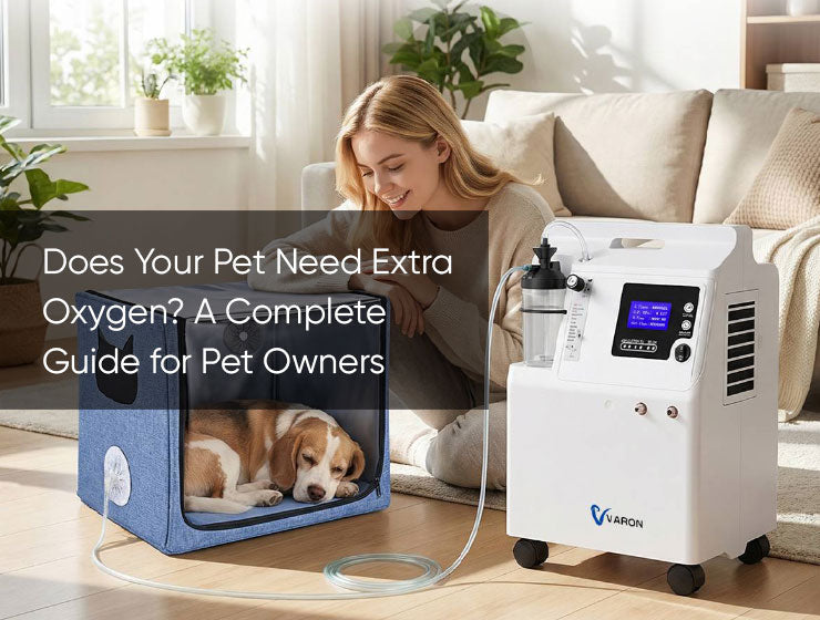pet oxygen therapy