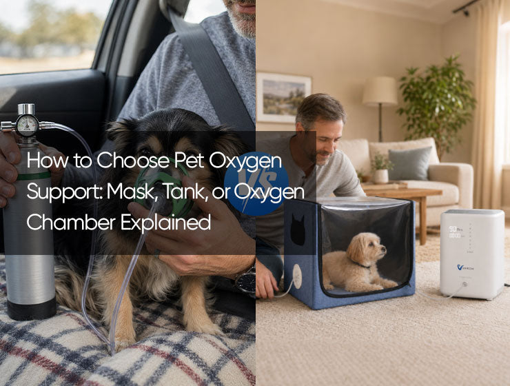 How to Choose Pet Oxygen Support: Mask, Tank, or Oxygen Chamber Explained