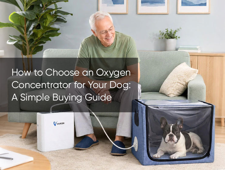 How to Choose an Oxygen Concentrator for Your Dog: A Simple Buying Guide