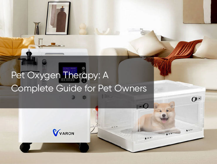 Pet Oxygen Therapy: A Complete Guide for Pet Owners