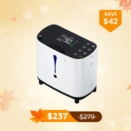 1-6L/min Home Oxygen Concentrator BE04