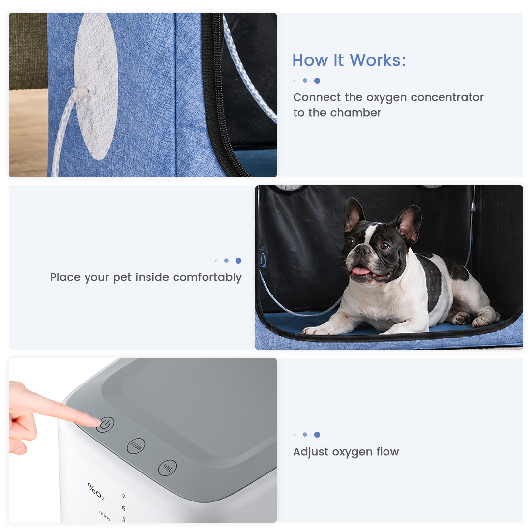 100L Pet Oxygen Chamber Nebulization Box