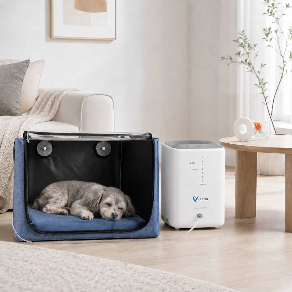 Extended Oxygen Therapy Bundle for Small Pets with Continuous Oxygen Support