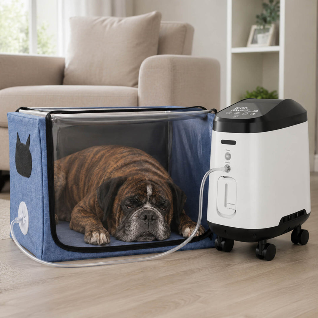 VARON Pet Oxygen Support Bundle for Small Pets with 105W Pro Concentrator With Wheels and Oxygen Chamber