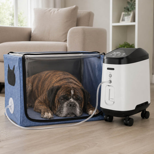 VARON Pet Oxygen Support Bundle for Small Pets with 105W Pro Concentrator With Wheels and Oxygen Chamber