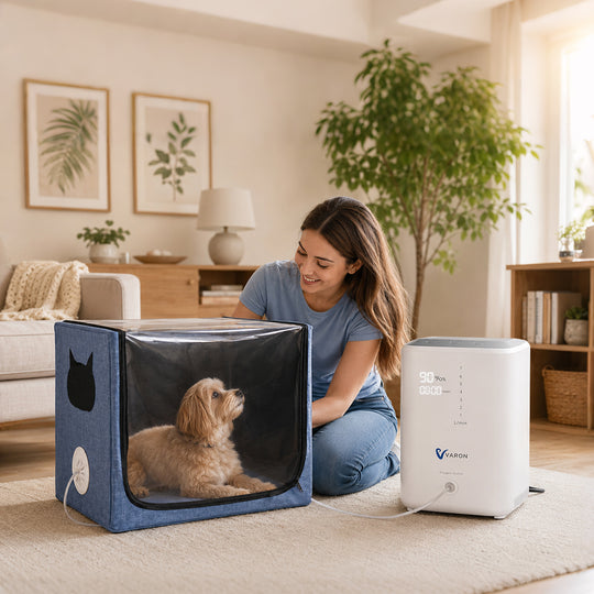 Extended Oxygen Therapy Bundle for Small Pets with Continuous Oxygen Support