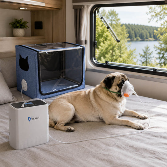 VARON Oxygen Concentrator NT-06 For Pets With Mask