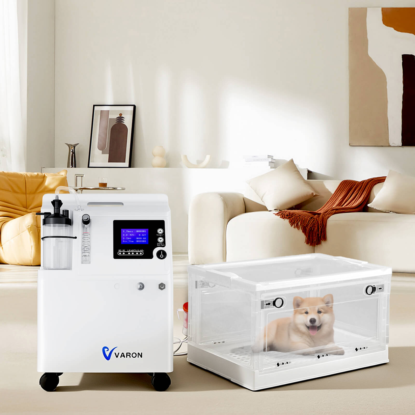 Pet Oxygen Chamber Compatible with Serene 5 for Continuous Oxygen Therapy