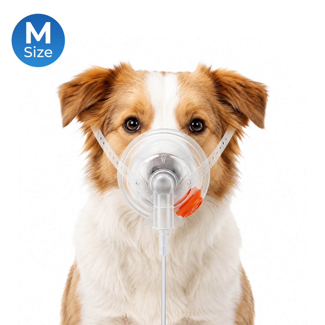 Pet Oxygen Mask for Dogs, Cats, Animals