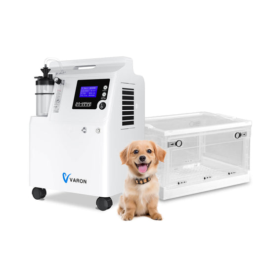 Pet Oxygen Chamber Compatible with Serene 5 for Continuous Oxygen Therapy