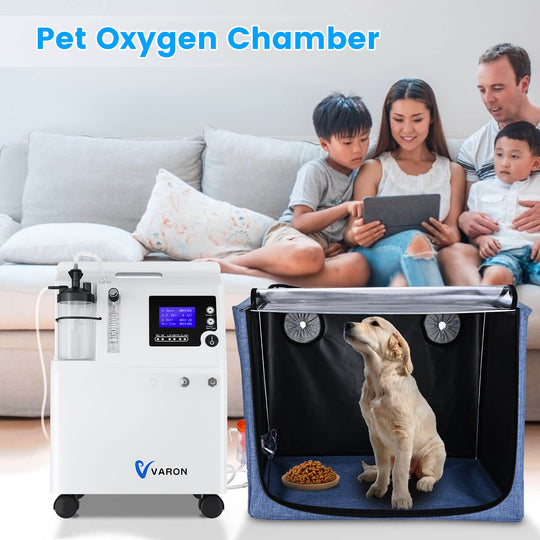 Extended Oxygen Therapy Bundle for Small Pets with Continuous Oxygen Support