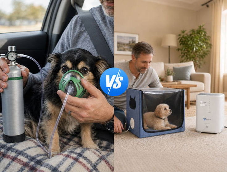 Pet Oxygen Tank vs Chamber: Complete Owner Guide
