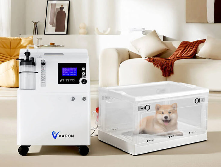 Pet Oxygen Therapy: A Complete Guide for Pet Owners