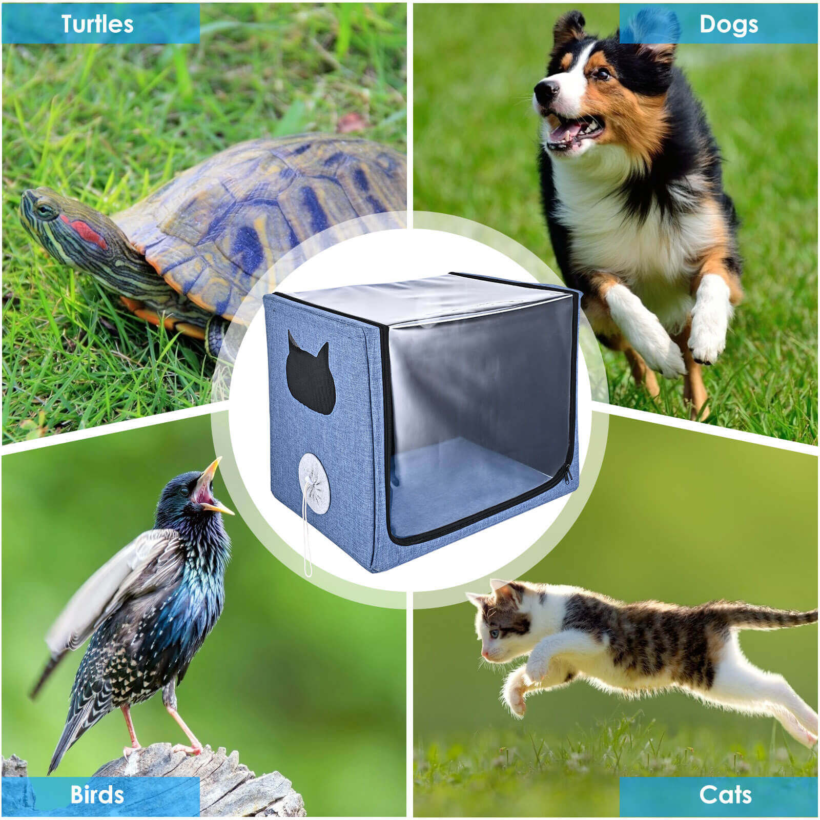 VARON Pet Oxygen Support Bundle for Small Pets with NT-06 Concentrator and Oxygen Chamber