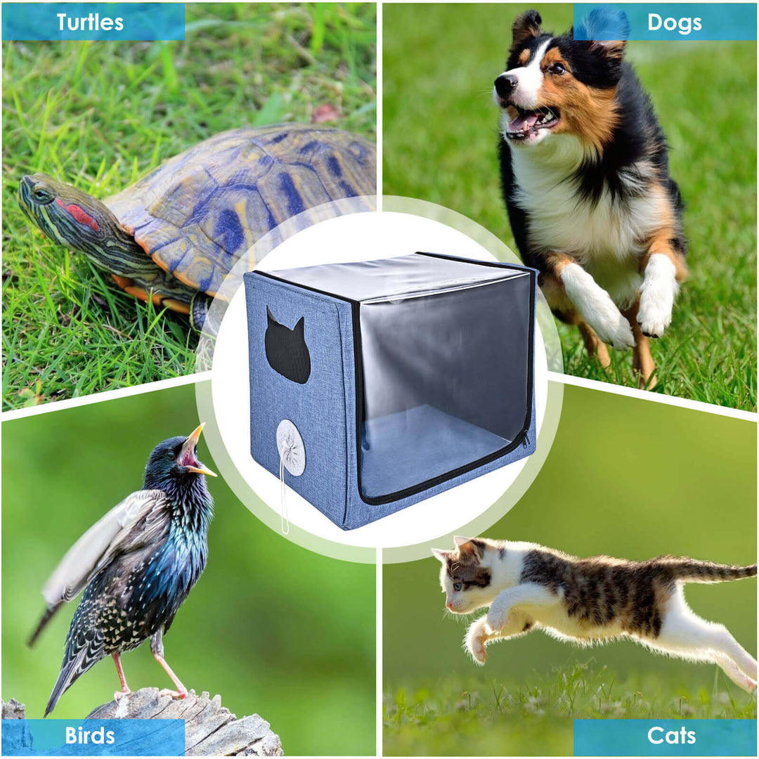VARON Pet Oxygen Support Bundle for Small Pets with NT-06 Concentrator and Oxygen Chamber