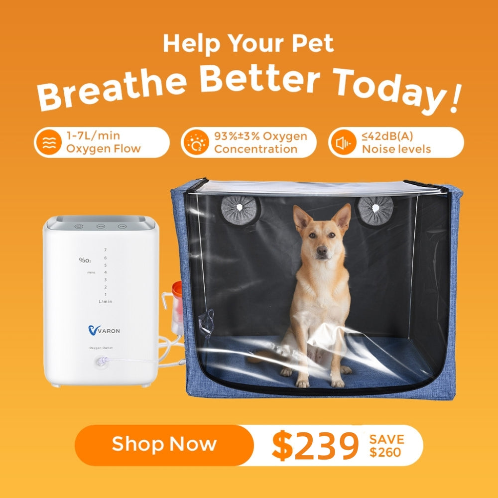 Extended Oxygen Therapy Bundle for Small Pets with Continuous Oxygen Support
