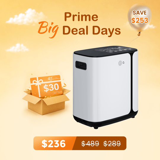1-6L Home Oxygen Concentrator NT-09